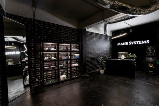 Mane Systems Salon